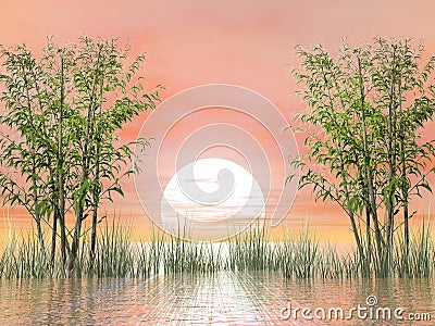 Bamboos by sunset - 3D render Stock Photo