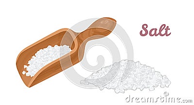 Salt in wooden scoop and pile of salt isolated Vector Illustration