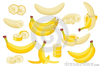 Various banana flat set. Exotic natural fruits collection Vector Illustration