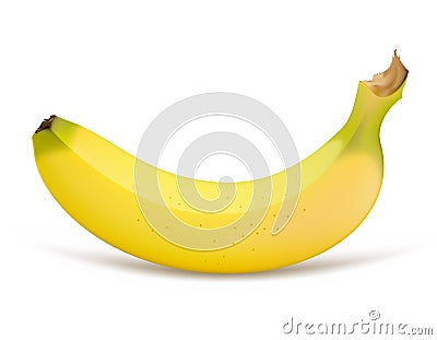 Banana Vector Illustration