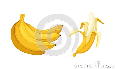 Banana as Elongated, Edible Fruit Covered with Yellow Rind Vector Set Vector Illustration