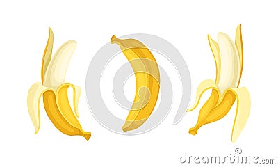 Banana as Elongated, Edible Fruit Covered with Yellow Rind Vector Set Vector Illustration