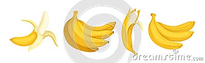 Banana as Elongated, Edible Fruit Covered with Yellow Rind Vector Set Vector Illustration