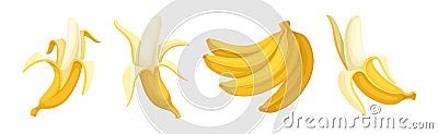 Banana as Elongated, Edible Fruit Covered with Yellow Rind Vector Set Vector Illustration