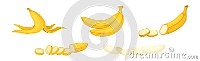 Banana as Elongated, Edible Fruit Covered with Yellow Rind Vector Set Vector Illustration