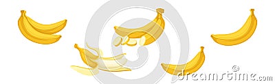 Banana as Elongated, Edible Fruit Covered with Yellow Rind Vector Set Vector Illustration