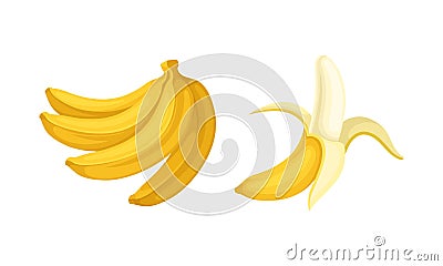 Banana as Elongated, Edible Fruit Covered with Yellow Rind Vector Set Vector Illustration