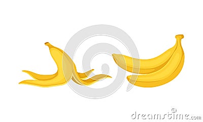 Banana as Elongated, Edible Fruit Covered with Yellow Rind Vector Set Vector Illustration