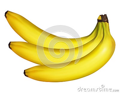 Banana bunch. Realistic vector 3D. Vector clipart isolated on white background Vector Illustration