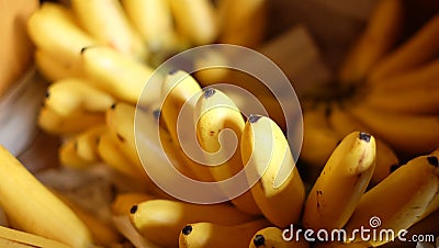 Banana Stock Photo