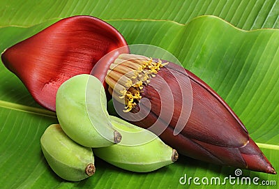 Banana flower eaten as delicious vegetable Stock Photo