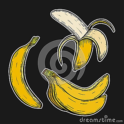 Banana fruit, bunch. Vector Illustration