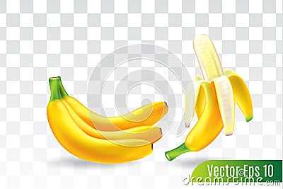 Banana fruit on transparent background, 3d realistic vector Vector Illustration