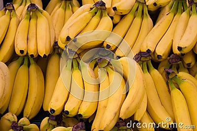 Banana fruits - food background Stock Photo