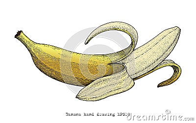 Banana hand drawing engraving style Vector Illustration