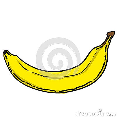 Banana hand drawn fruits isolated vector Vector Illustration