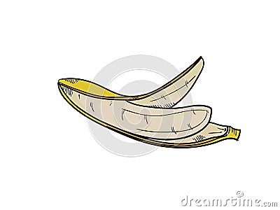 Banana Hand drawn style Vector Illustration