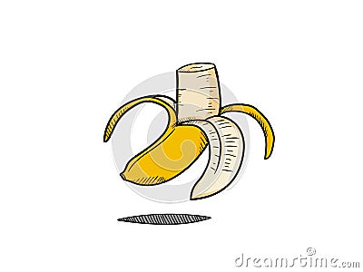 Banana illustrator hand drawn style Vector Illustration