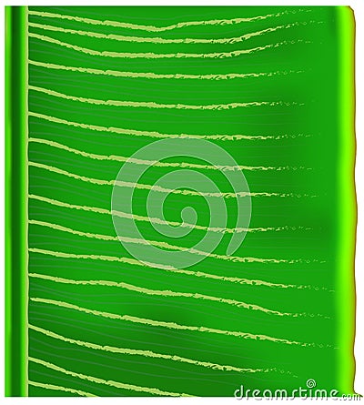 Banana leaf Stock Photo