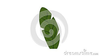 Banana leaf icon animation stock footage. Video of paradise - 216404638 Banana leaf icon animation stock footage. Video of paradise - 216404638