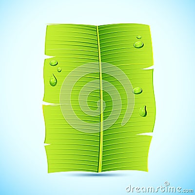 Banana Leaf Invitation Letter Vector Illustration