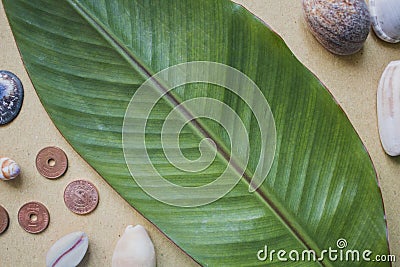 Banana leaf, shells and coins on the table. Flat photo background on beige craft paper. Stock Photo