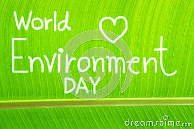 Banana leaf textured, write World Environment Day Stock Photo