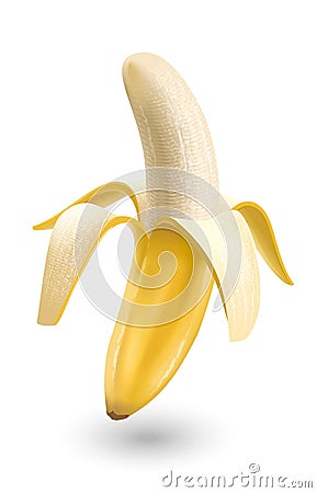 Banana Vector Illustration