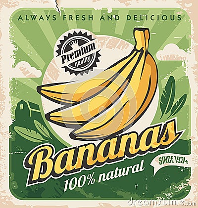 Banana plantation retro poster design Vector Illustration