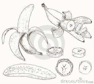 Banana set Vector Illustration