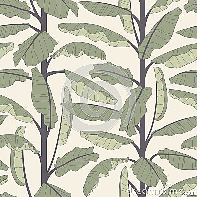 Banana tree Vector Illustration