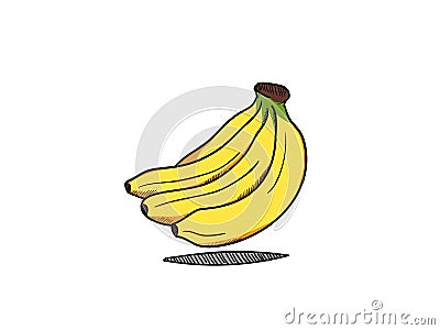 Banana vector Vector Illustration