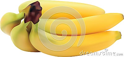 BANANA VECTOR REALISTIC ADOBE ILLUSTRATOR Stock Photo