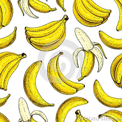 Banana vector seamless pattern. Isolated hand drawn bunch and peel banana Summer fruit artistic style Vector Illustration