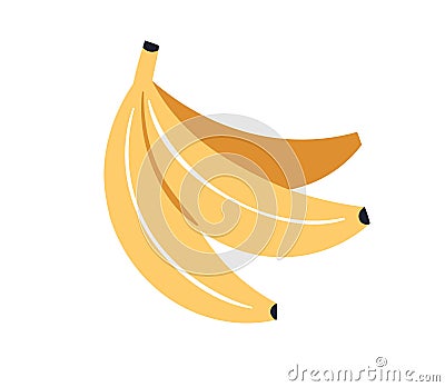 Bananas bunch. Whole sweet tropical fruits in yellow peel. Stylized exotic food. Natural ripe healthy banan. Colored Vector Illustration