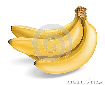 Bananas Cartoon Illustration