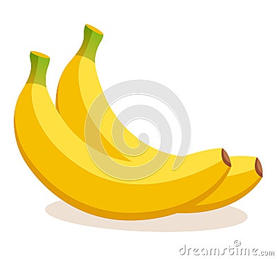Bananas flat design icon isolated Vector Illustration