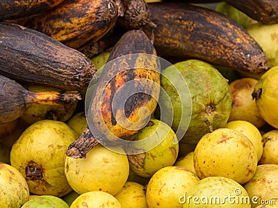 Bananas and guavas Stock Photo