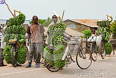 Bananas, heavy load on bikes in Uganda. Boy and man carrying loads on bikes. Bicycles loaded with cooking bananas and bags Editorial Stock Photo