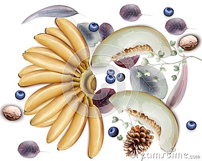 Bananas,melon and blueberries Vector watercolor. Exotic delicious fruits background template. Winter colors decors Stock Photo