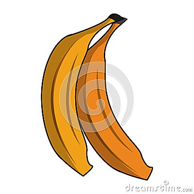 Bananas sweet fruit Vector Illustration