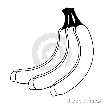 Bananas sweet fruit cartoon Vector Illustration