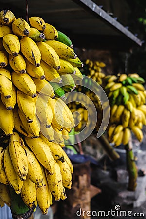 Bananas view at a local fruit market near the Ravana Falls in Ella, Sri Lanka Stock Photo