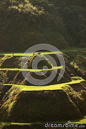 Banaue Stock Photo