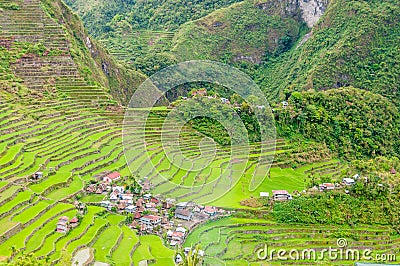 Banaue Stock Photo