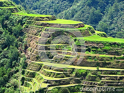 Banaue Rice Terraces 2 Stock Photo