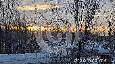 Early winter sunrise through frosted tree branches Stock Photo