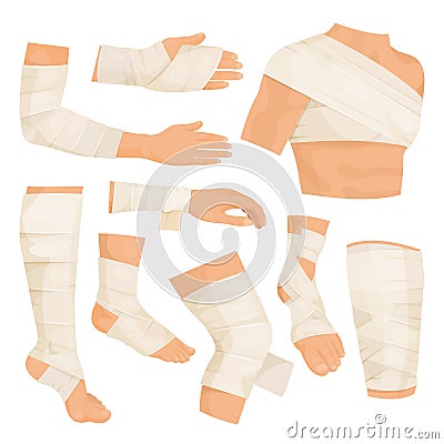 Bandaged body parts Vector Illustration