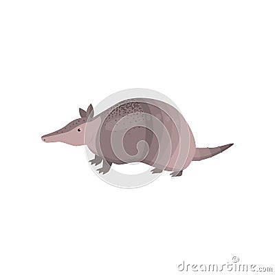 Banded armadillo transparent isolated on white background Vector Illustration