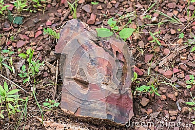 Banded Hematite Jasper Stock Photo